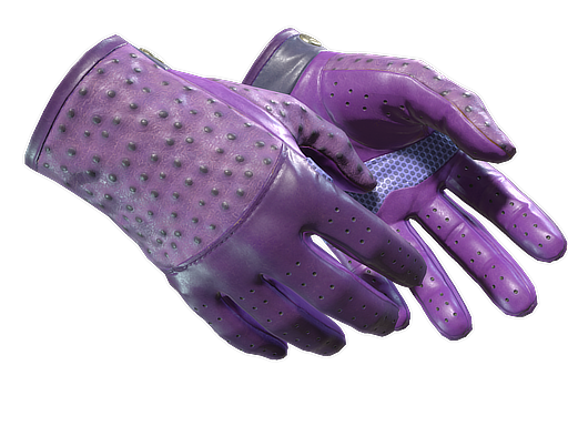 ★ Driver Gloves | Plum Quill